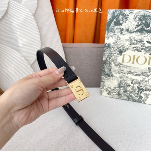 Dior-Belts