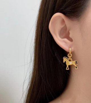 Earrings&Ear studs