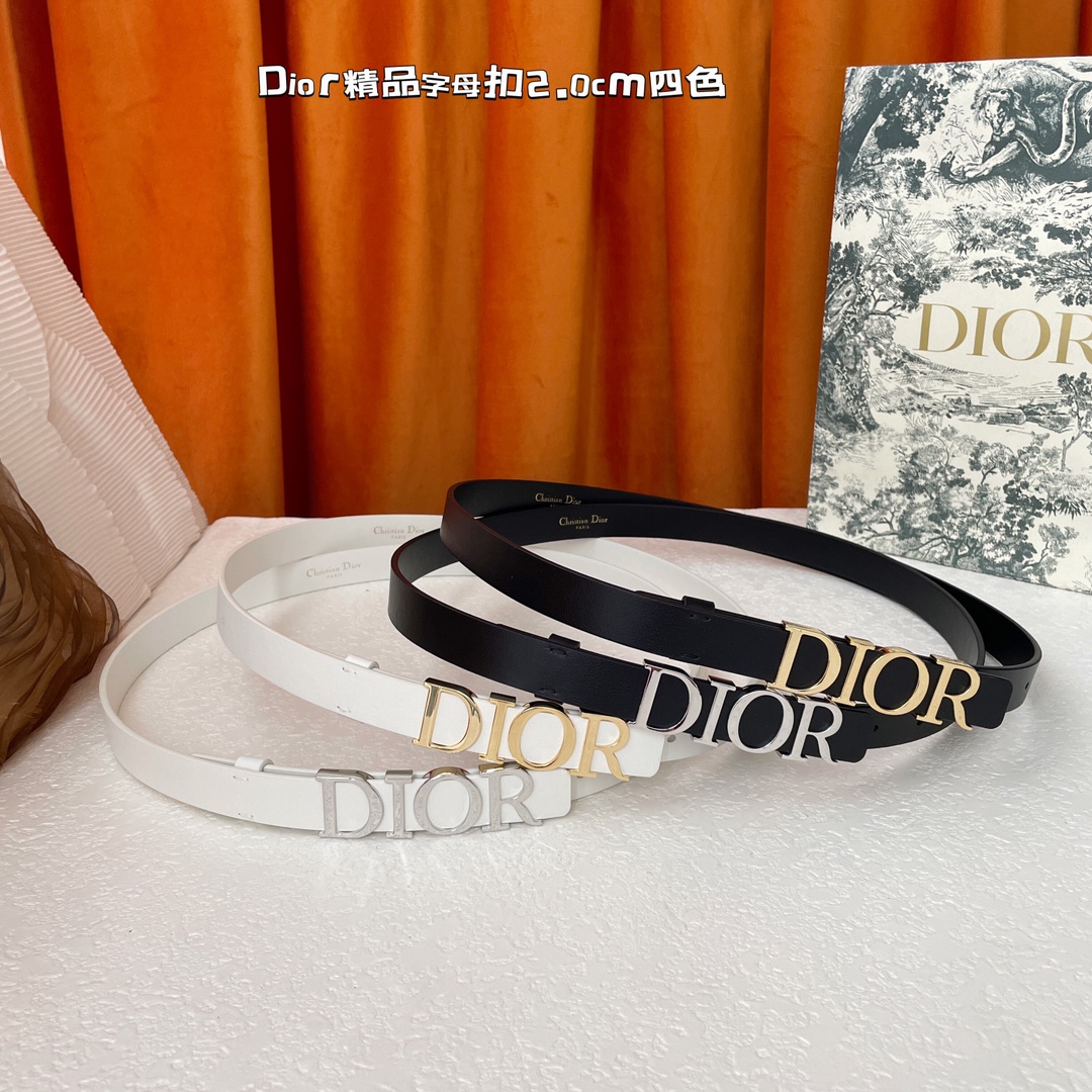 Dior-Belts