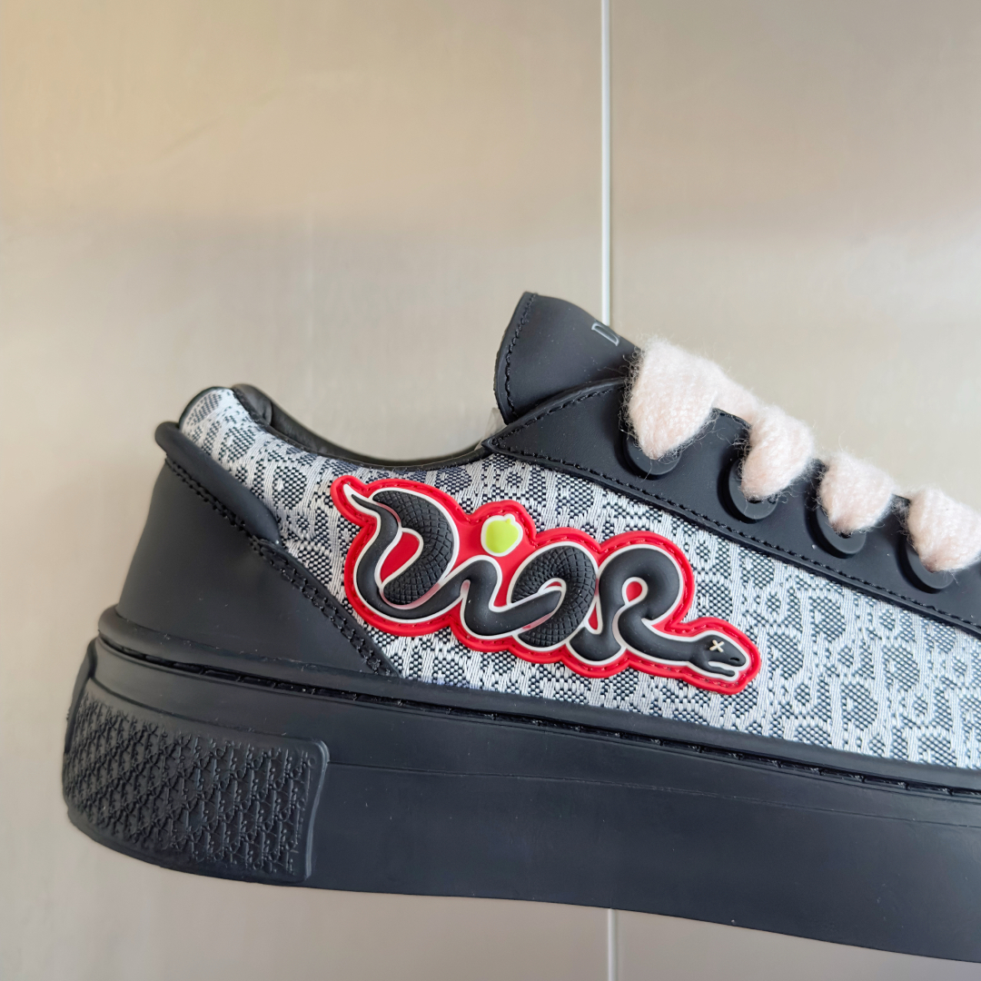 DiorSHOES